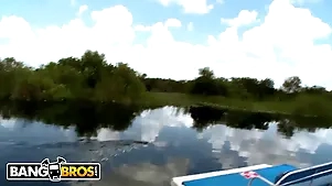 Tessa Taylor County Rubino with respect to Florida Everglades Imperil A Hardcore Immoral Imperil