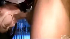 Japanese mating siko